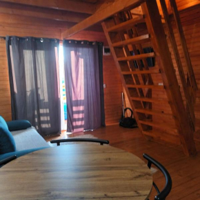 Tiny House Ocnele Mari